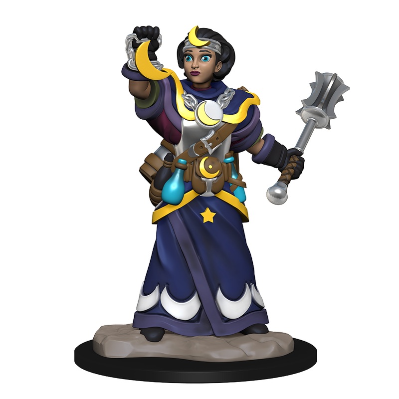 Wizkids Wardlings Rpg Figures Girl Cleric & Winged Cat