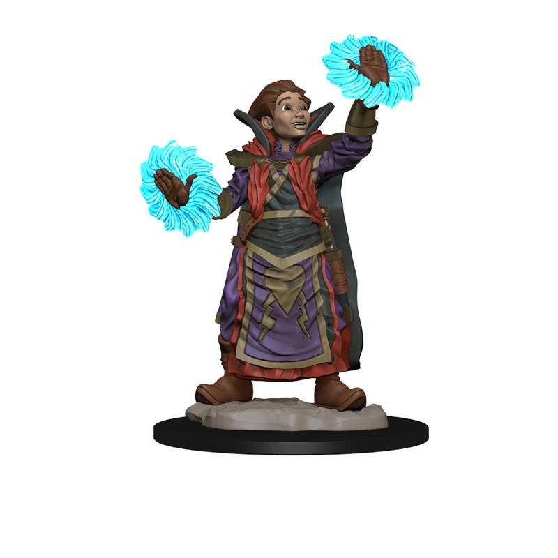 Wizkids Wardlings Rppg Boy Wizard & Imp