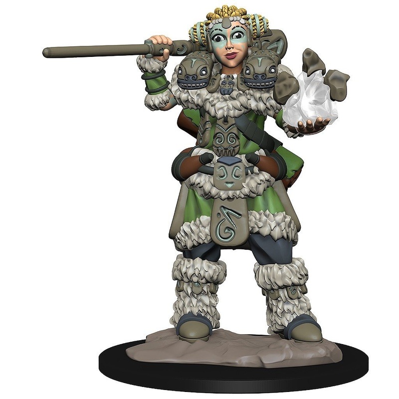 Wizkids Wardlings Rpg Girl Druid & Stone Creature