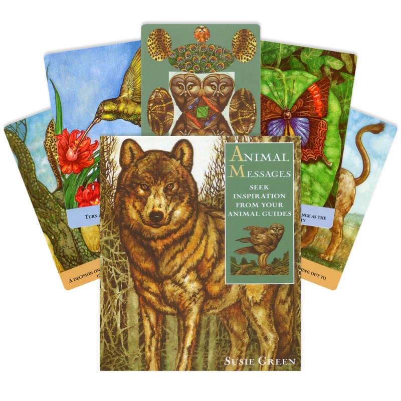 Animal Messages kort ir knygos rinkinys