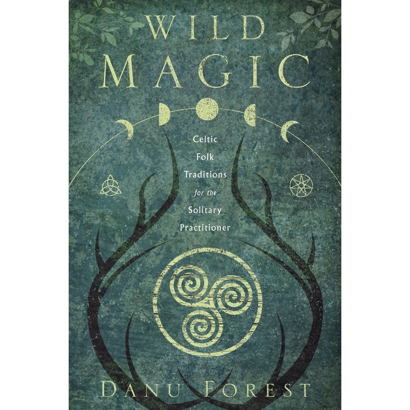 Wild Magic book Llewellyn