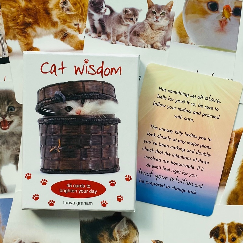 Cat Wisdom cards Blue Angel