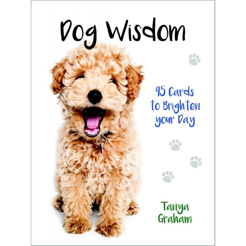 Inspirational cards Dog Wisdom Blue Angel