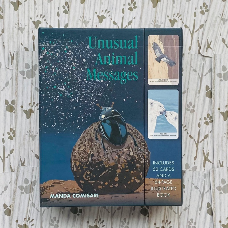 Unusual Animal Messages Oracle Cards Cico Books