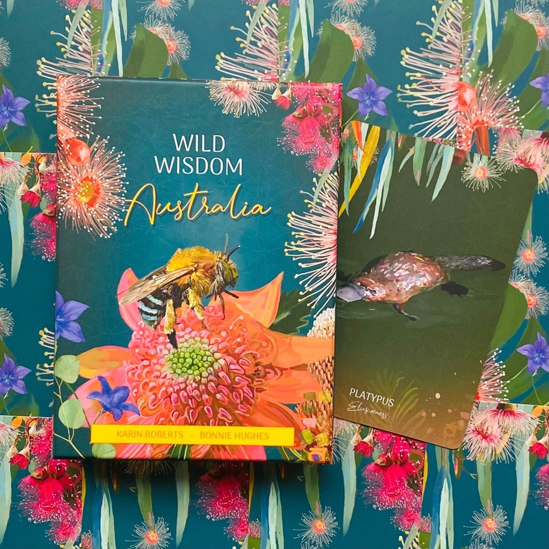Wild Wisdom Australia Oracle oracle Blue Angel