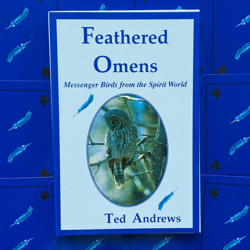 Feathered Omens Spiritual Cards Dragonhawk Publishing