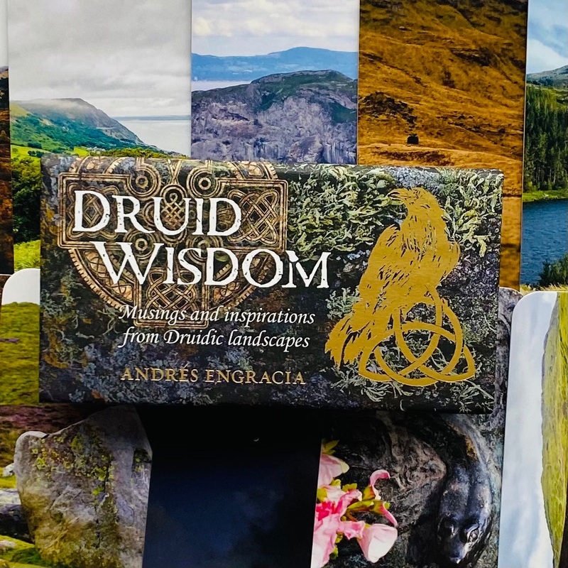 Druid Wisdom Inspiration cards Rockpool