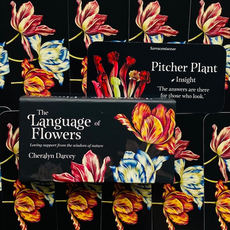 The Language of Flowers Inspiration cards Rockpool