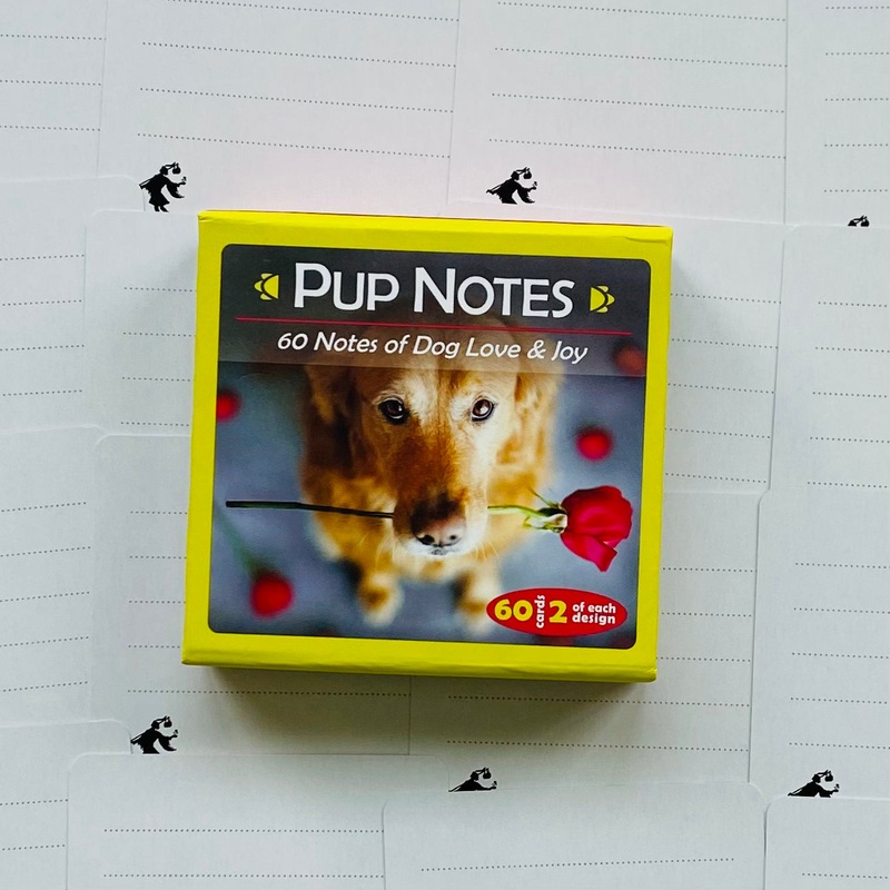 Inspirational Pup Notes 60 Notes Of Dog Love And Joy Cards US Games Systems