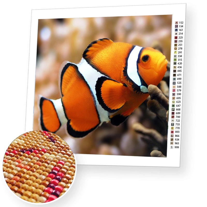 Diamond painting Cloun Fish AZ-1061 Size: 2018