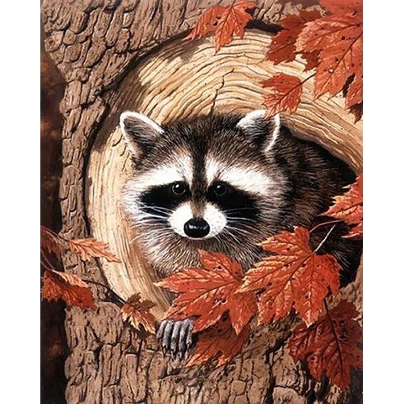 Racoon in the Tree Diamond Painting Set CS2561