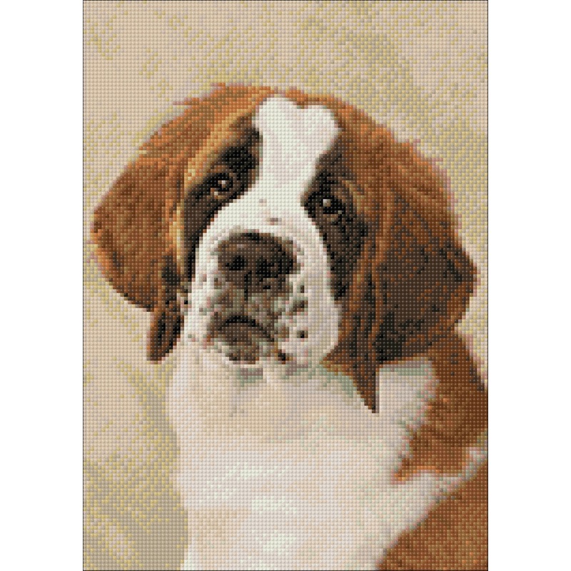 St. Bernard pup 3040 Diamond Painting Set Cs2416
