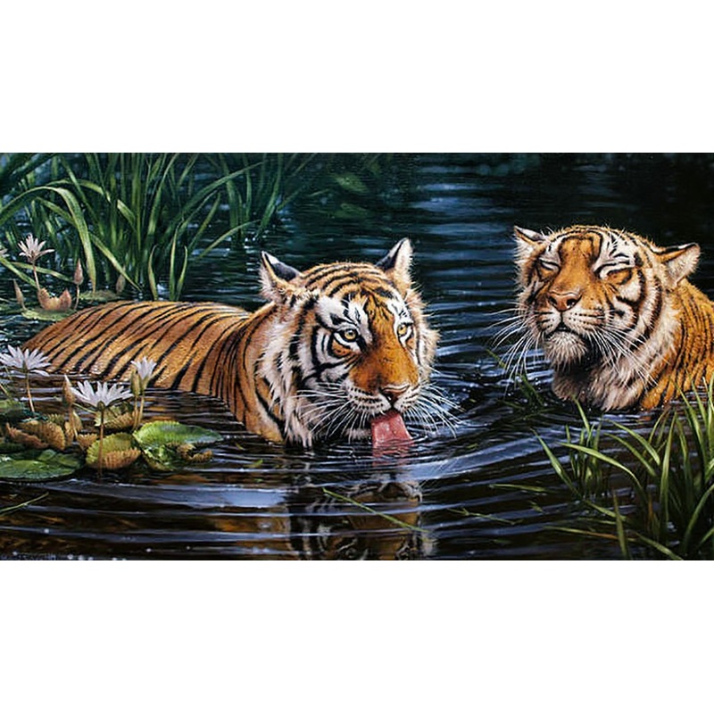 Tigers Diamond Painting Set CS2569